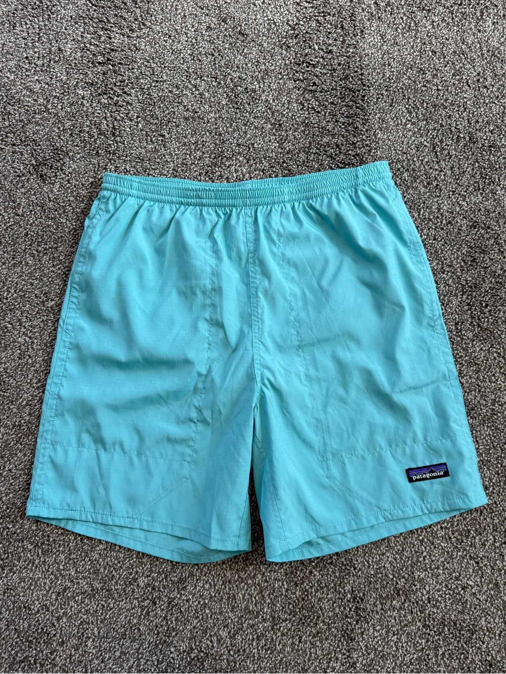 Patagonia Baggies Shorts